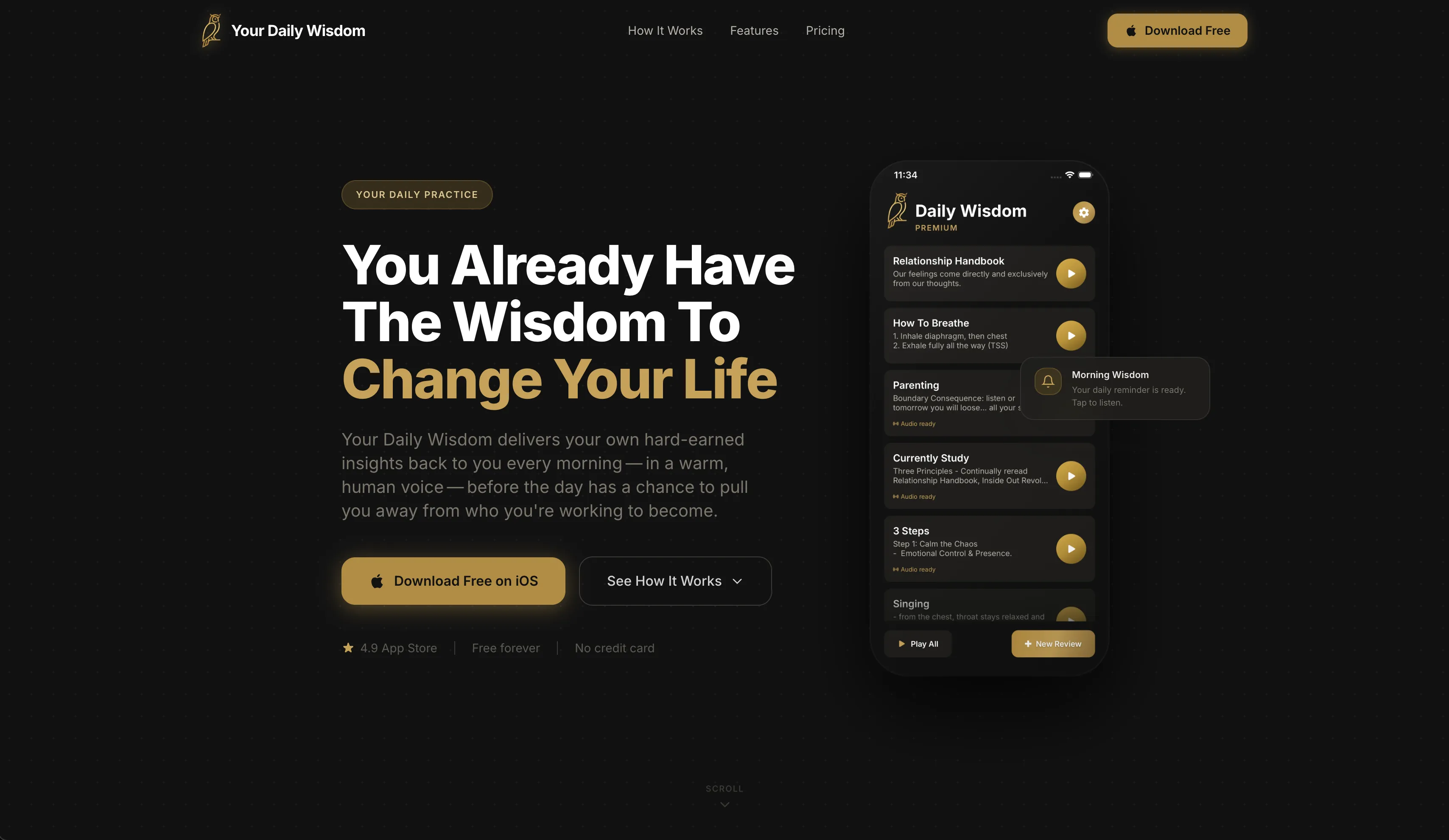 LoveMore website portfolio preview