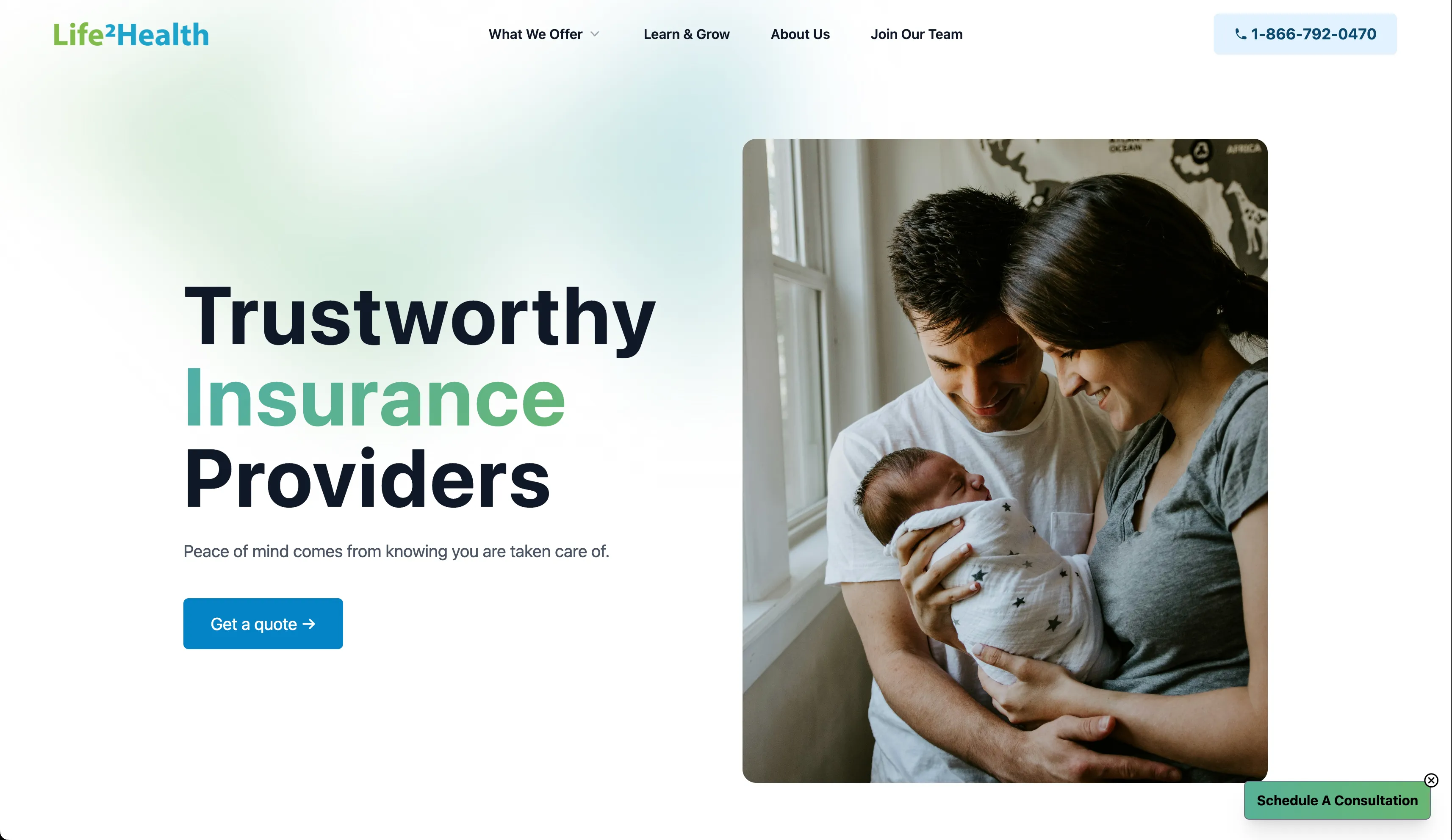 Life2Health website portfolio preview